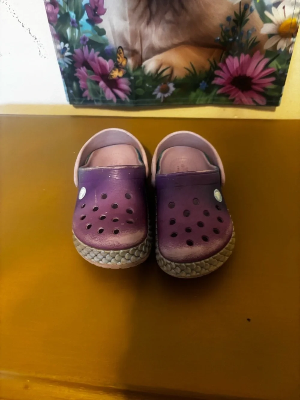CROCS Kids Purple and Pink Slip-On Clogs